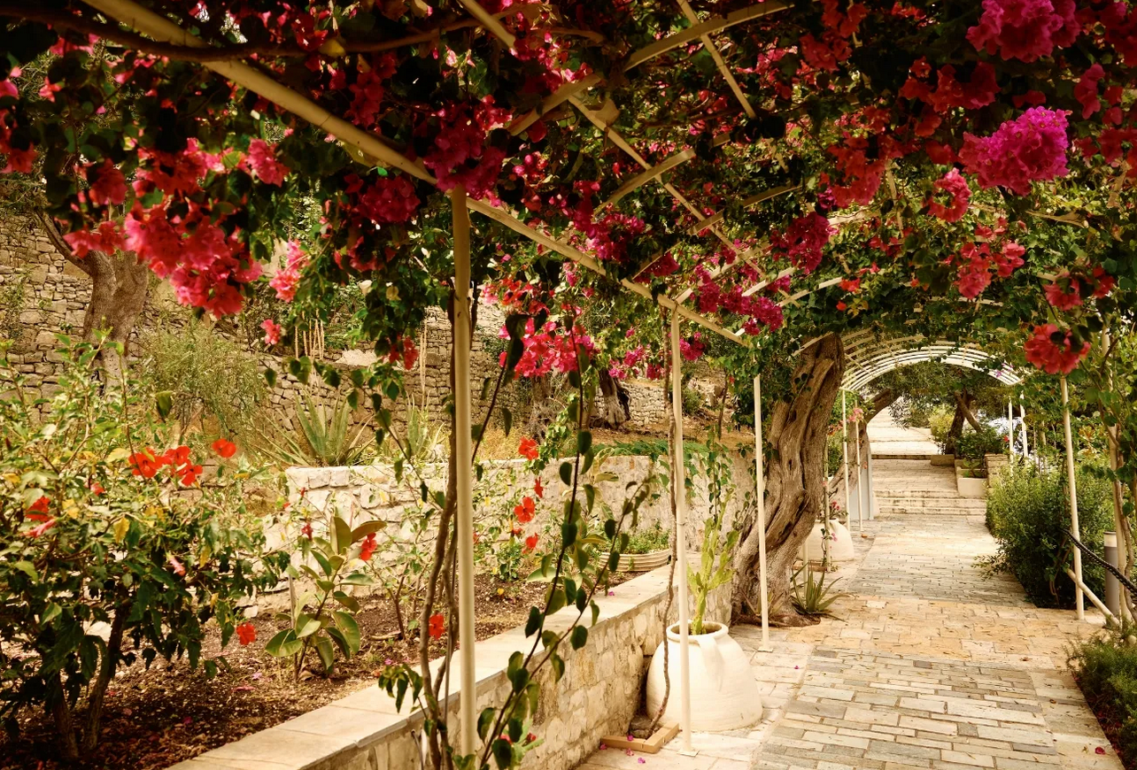 agali-hotel-paxos-outdoor-space-06