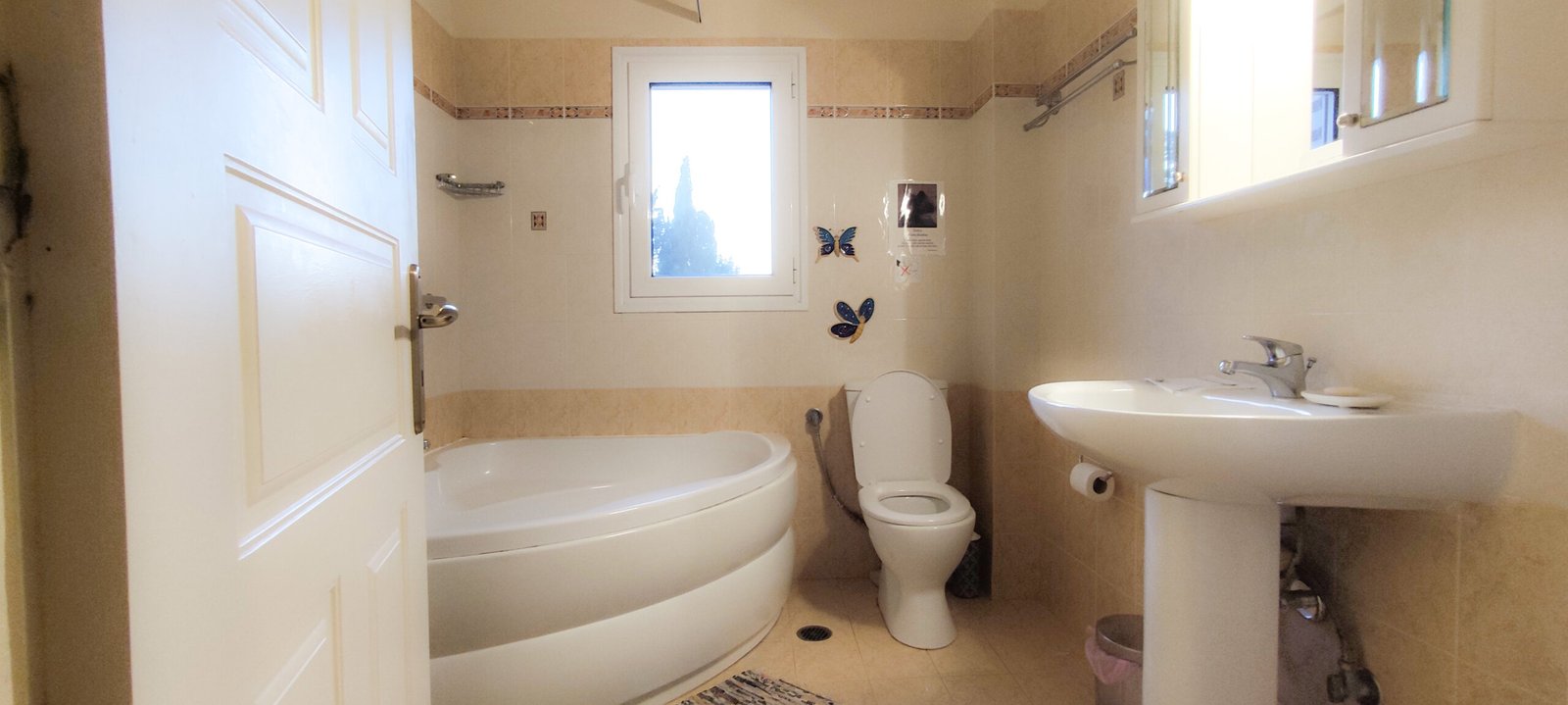 villa-alekos-paxos-bathroom-01