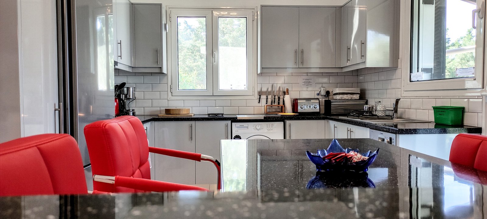 villa-alekos-paxos-kitchen-03