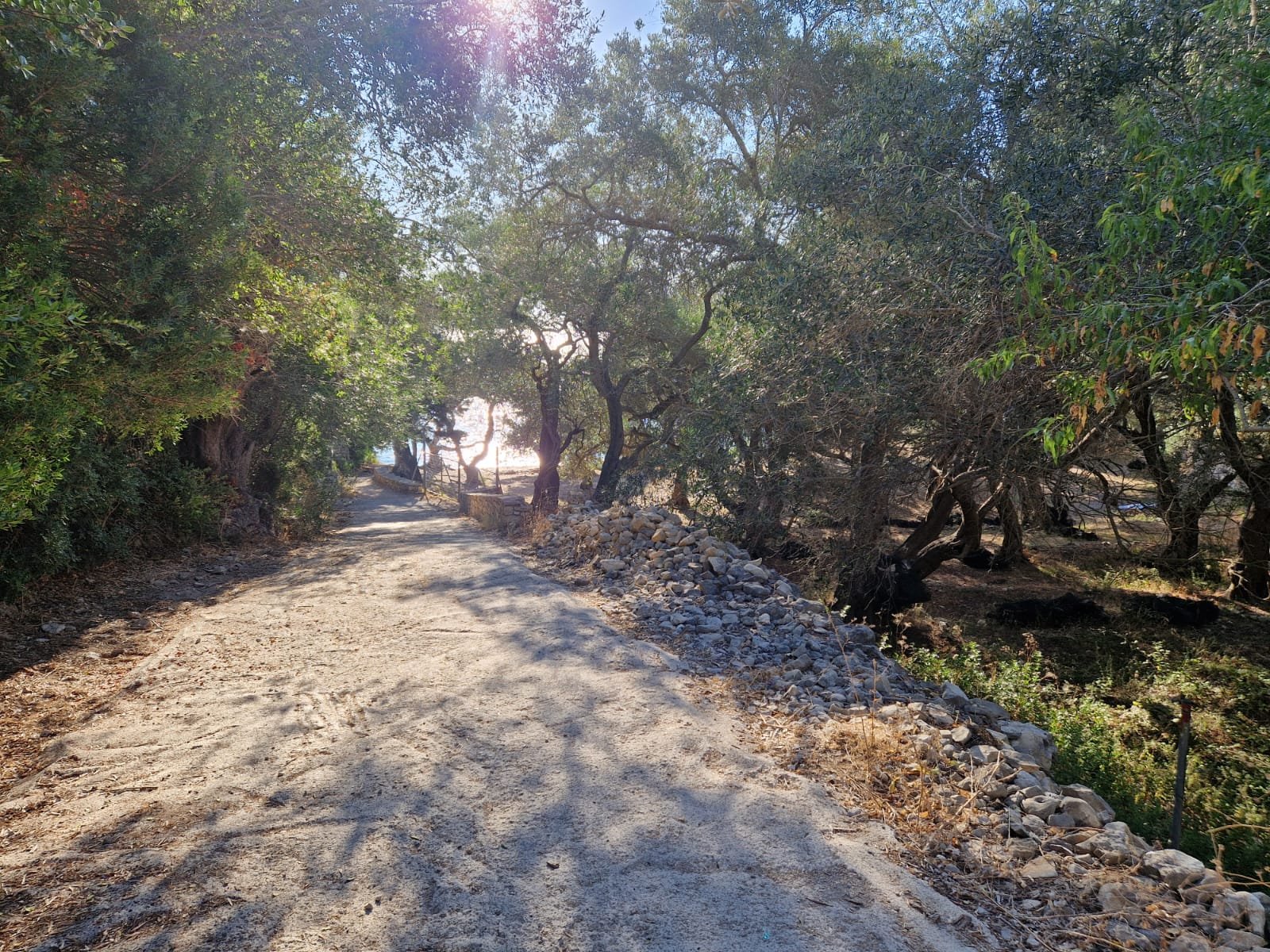 villa-theseus-paxos-49