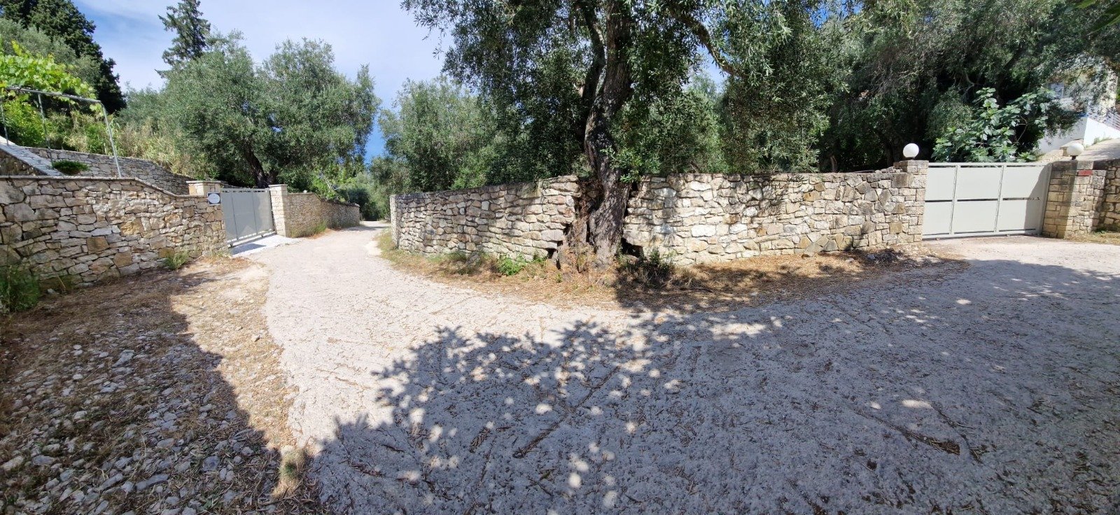 villa-theseus-paxos-50