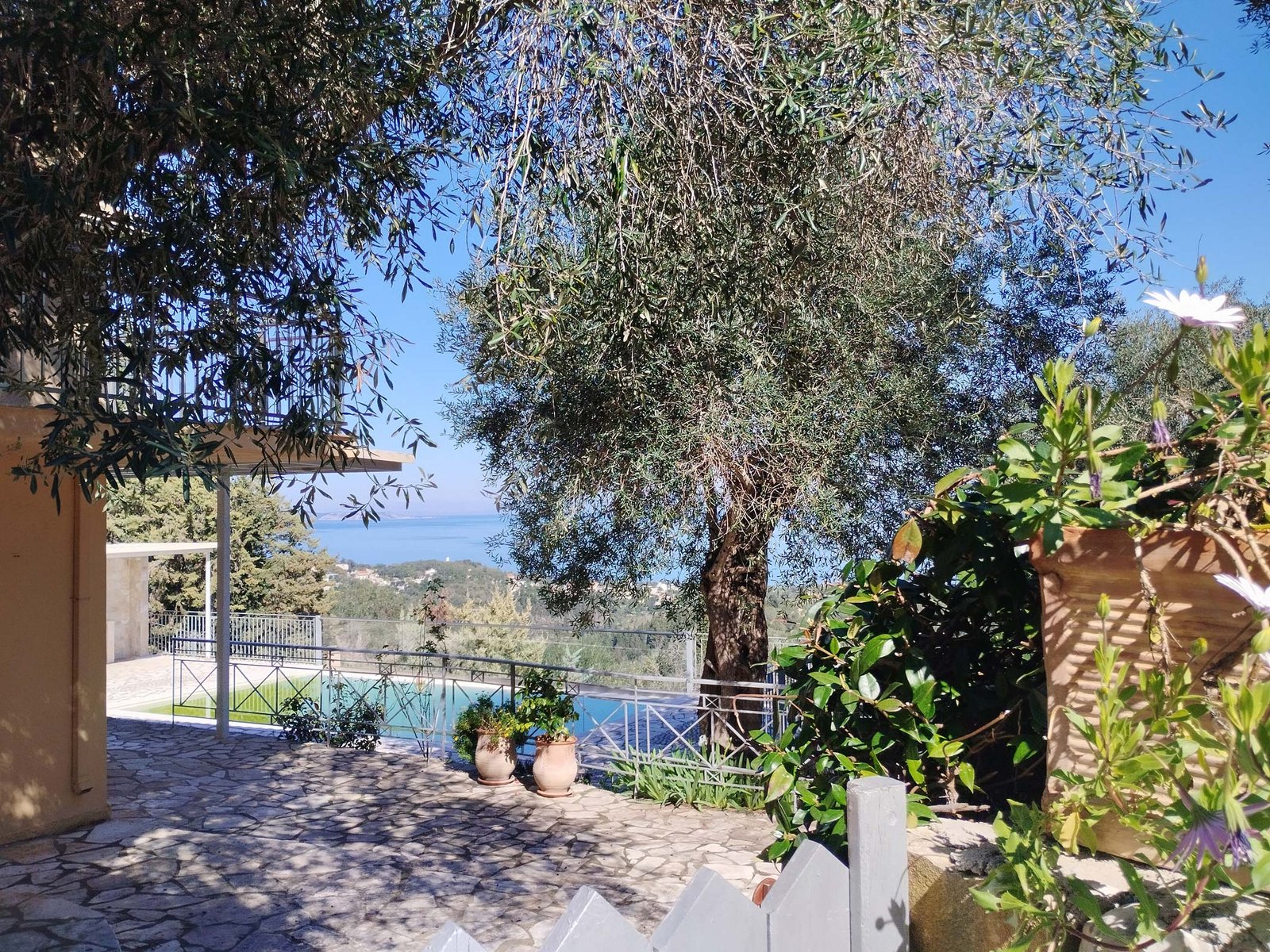 villa-milou-paxos-pool-13