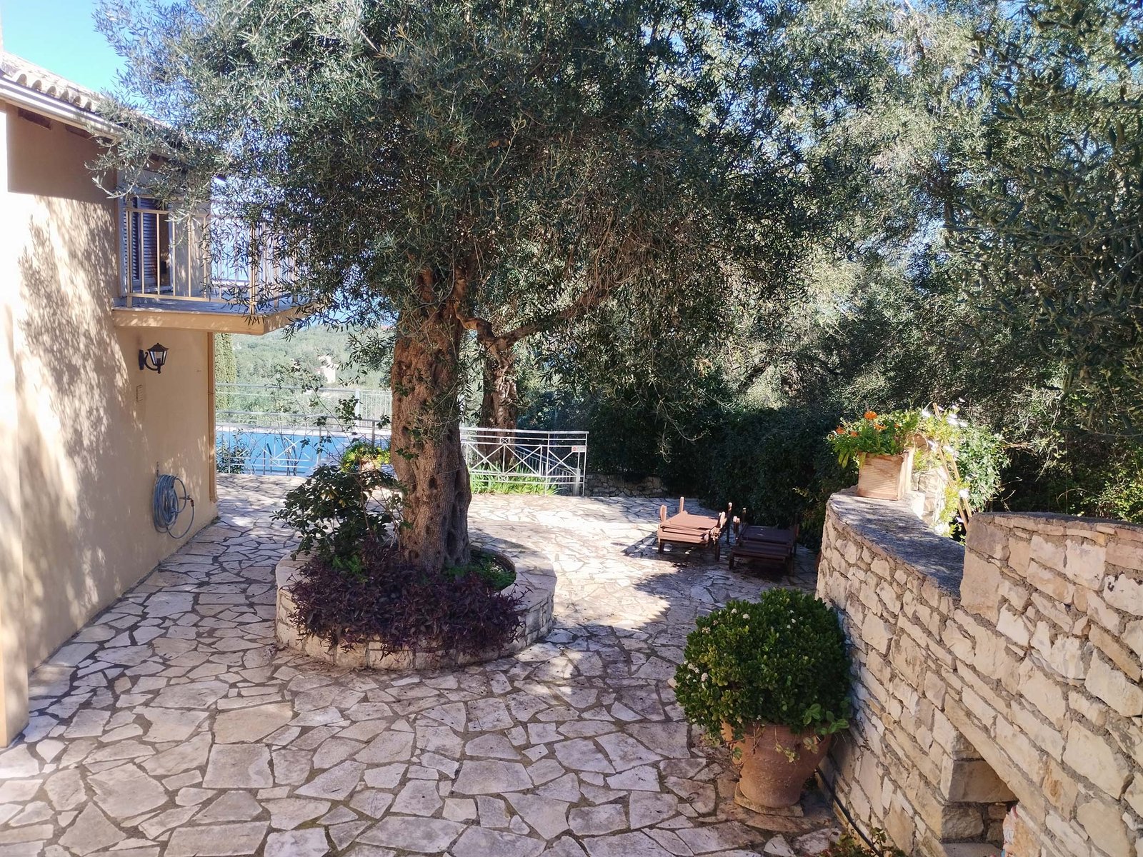 villa-milou-paxos-pool-15