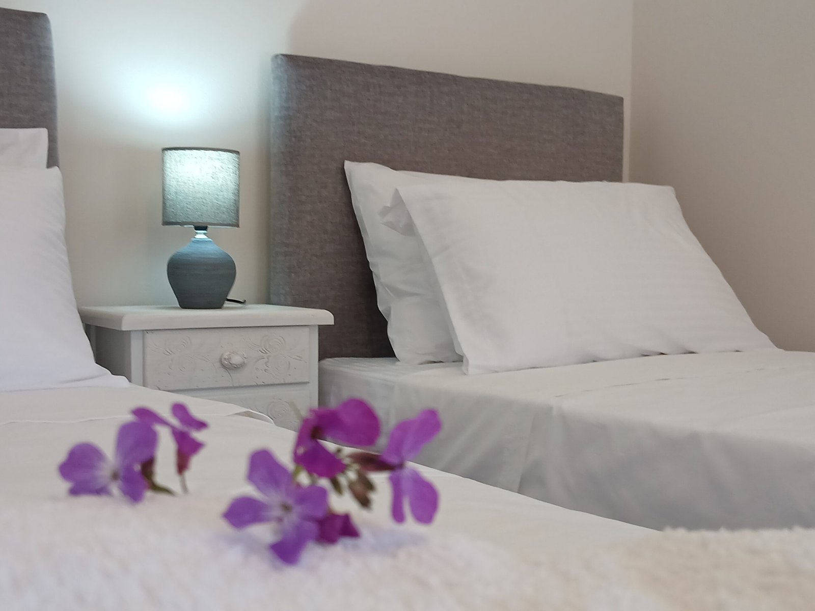 sandra-apartment-2-paxos-11